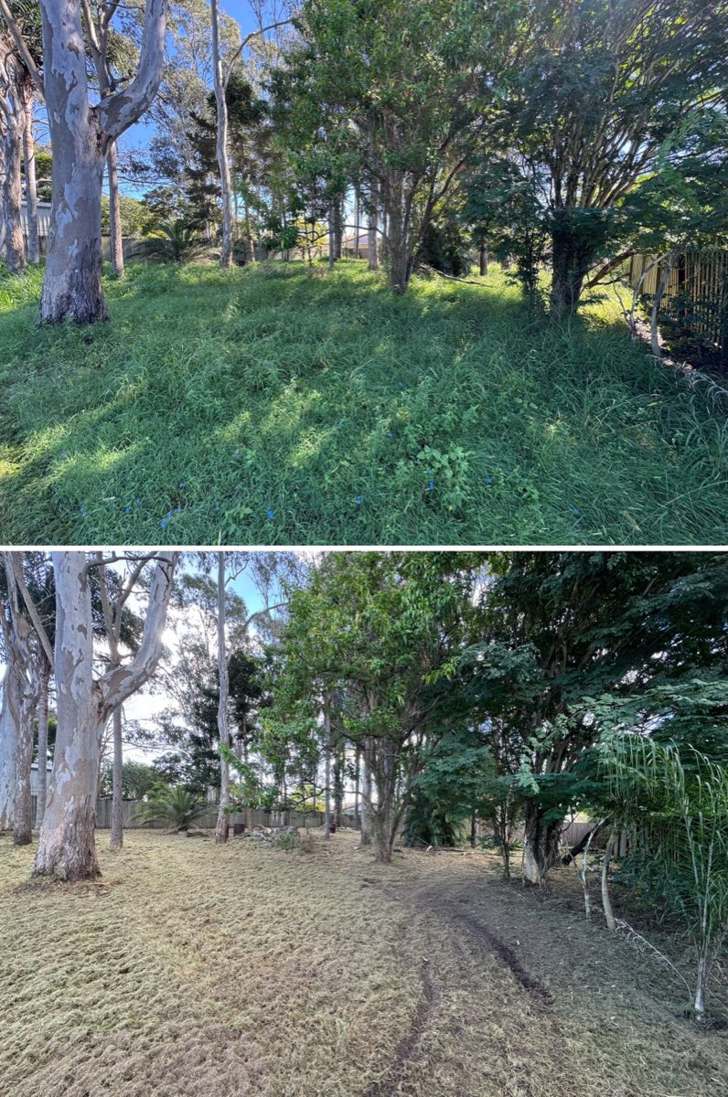 Acreage property with heavy overgrowth restored in Woodridge