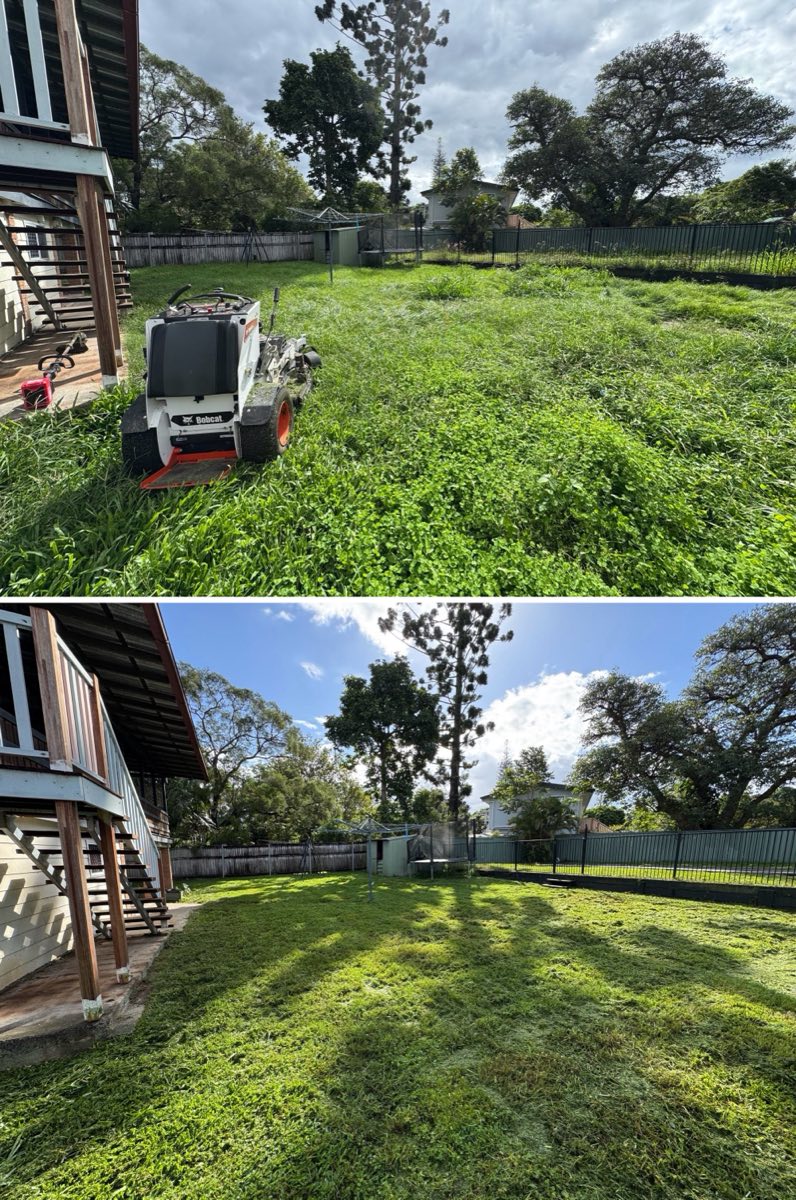 Large overgrown area restored with slashing in Springwood