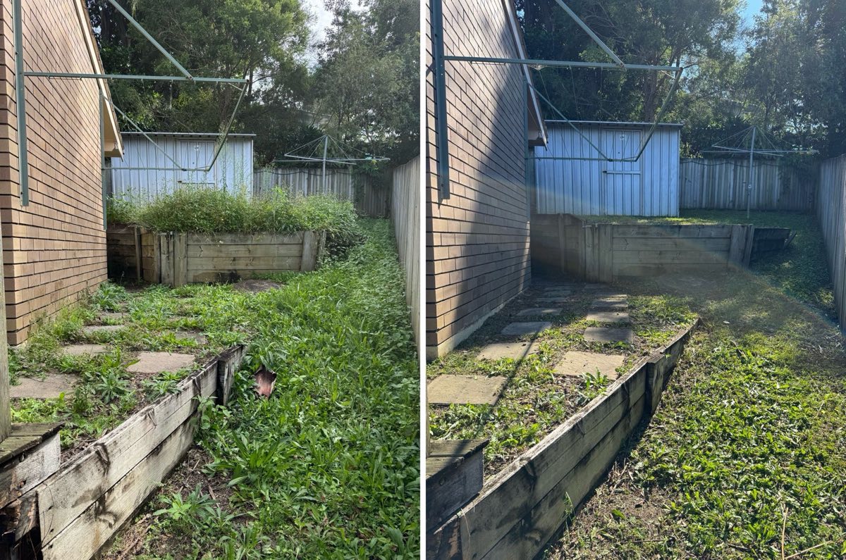 Heavily overgrown garden beds cleared of weeds in Beenleigh